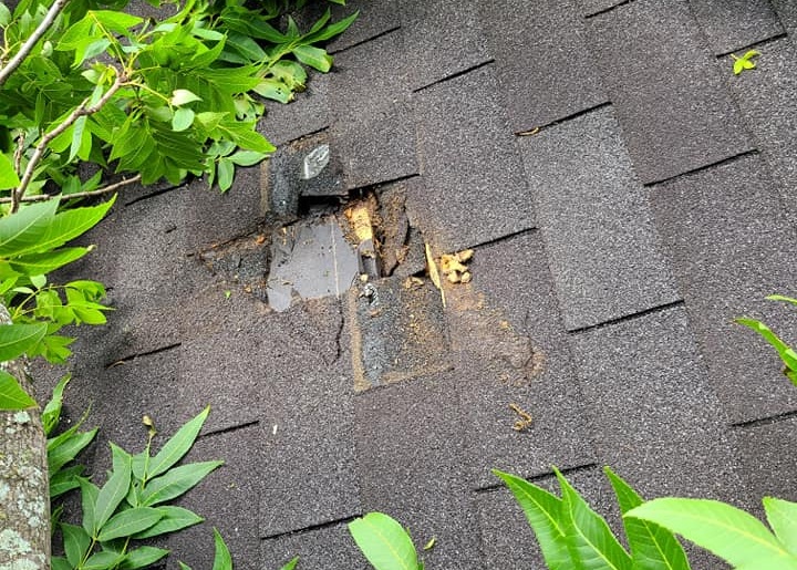 roof repair florence county after a tree hit a roof that needs to be repaired